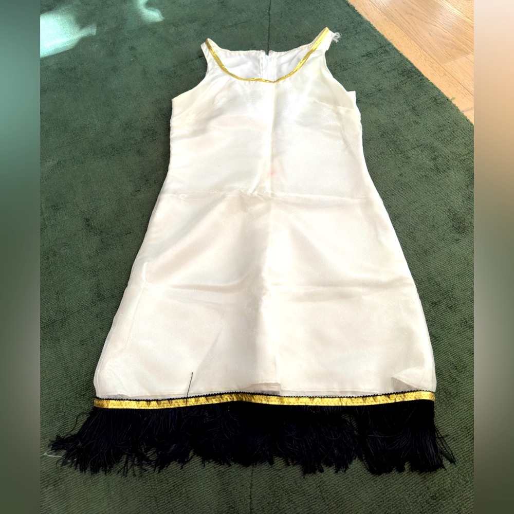 1920’s flapper dress Halloween costume